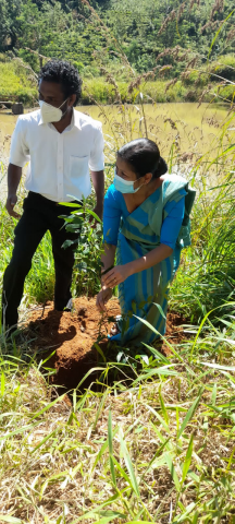 Hadabima Tree Plantation  program 2021.12.01