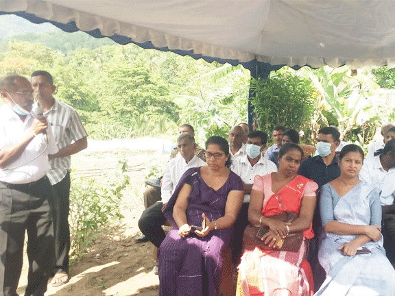 World Cultural Diversity Day Celebration