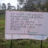 Hanthaha Fruit plantation