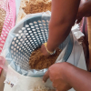 Mashroom Program for Bootawatta school