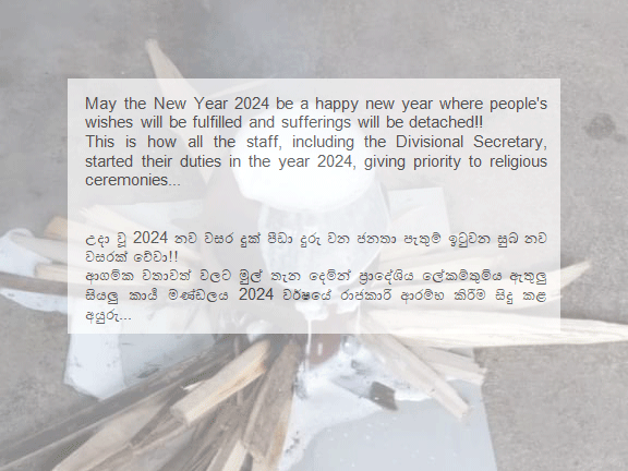 New Year Celebration 2024