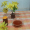 sauce manufacturing program ankelipitiya