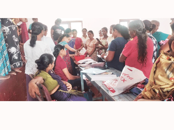 shampoo training program bolepa
