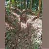 soil water conservation godamunna west GN Division