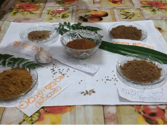 spice training program oluwawatta